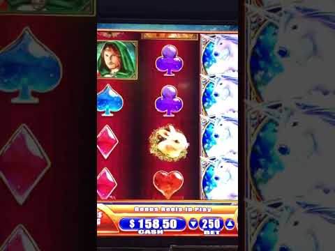 Discover Diva Spin Casino's Sister Sites for English-Language Online Gaming in Australia