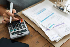 the annual master budget file includes the